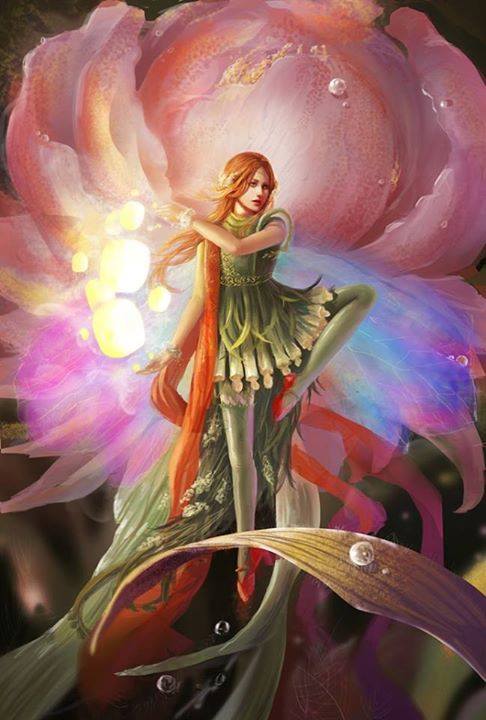 1476747_578713678844419_498290814_n