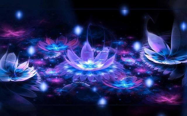 1499460_552329104848733_1087629850_n