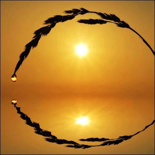 1501718_1387230244863991_2034552803_n