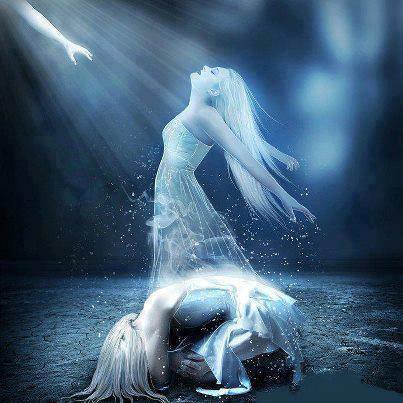 1538919_712707418741267_933056329_n