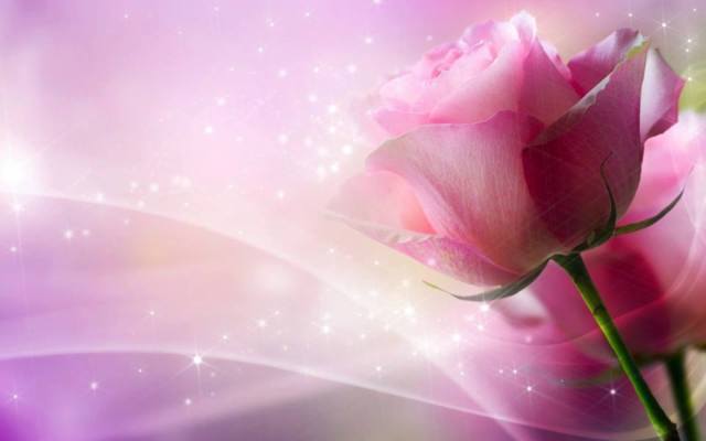 1545873_10203112346798112_142206178_n