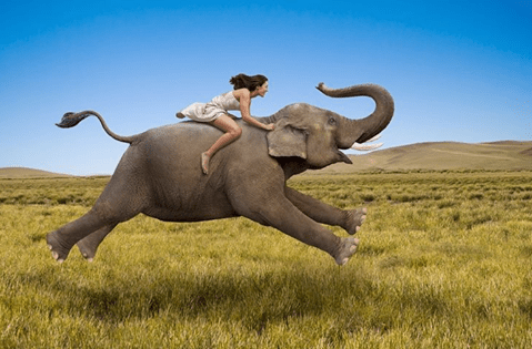 1557668_800931856603400_1277313275_n