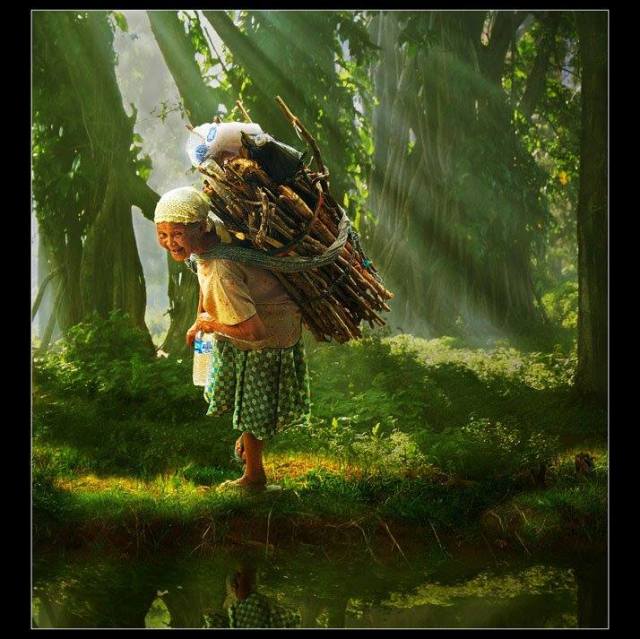 1560548_487241708051273_655444427_n