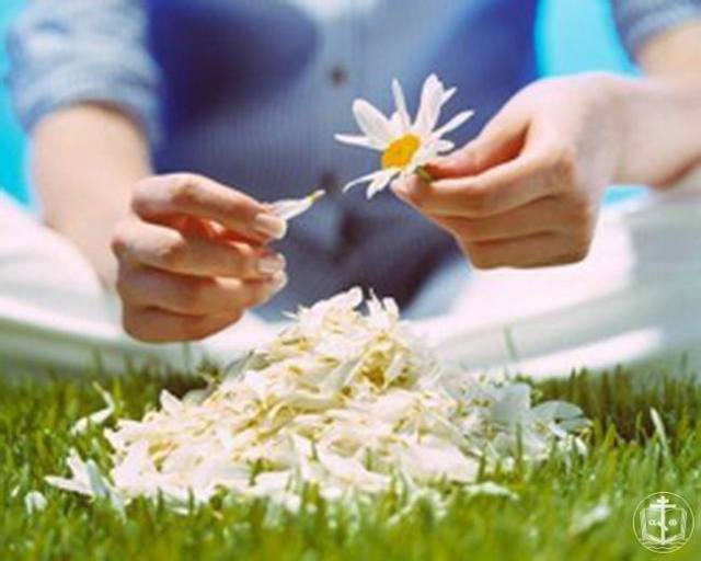 1620684_257746541070103_269858037_n