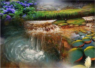 1620788_708354425853142_2070699098_n