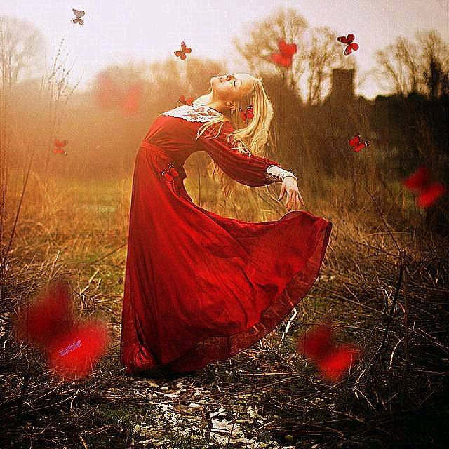 1623673_485460291562748_1990312850_n