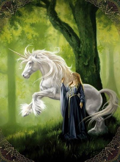 1653345_995337897271364_447417848_n