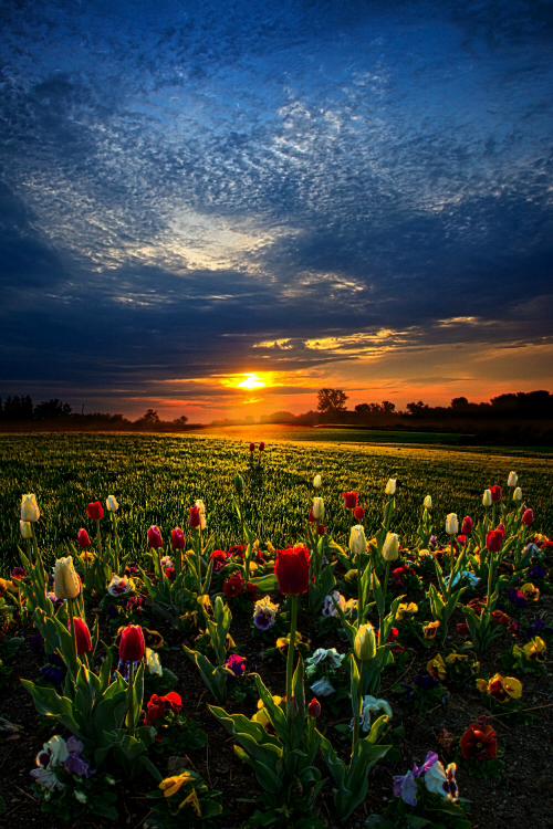 1655961_221766214682269_1891798799_n