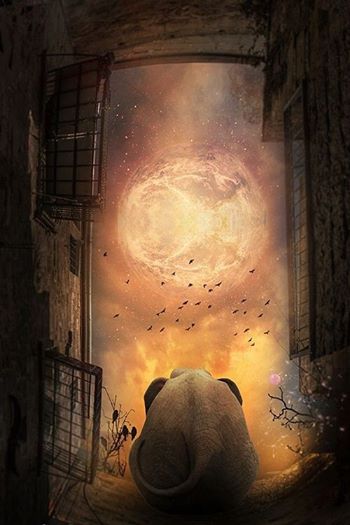 1779738_225914314267459_1784275976_n