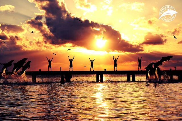 1780047_10152221307494654_1378279561_o