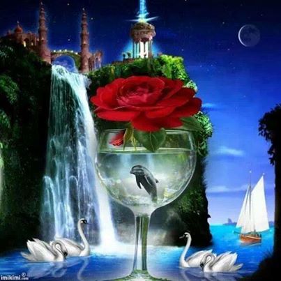 1780646_667131813333515_1417574739_n