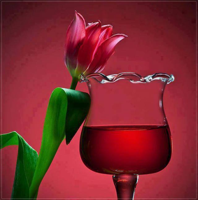 1780763_257277294450361_1985563186_n