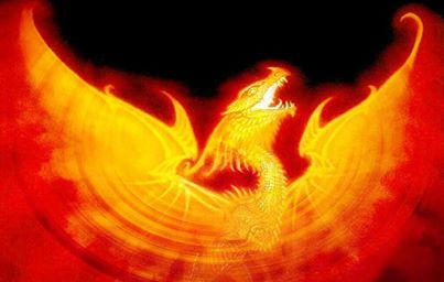 1798576_666904873370561_1387912416_n