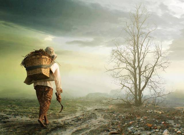 1798880_495167553925355_765588686_n