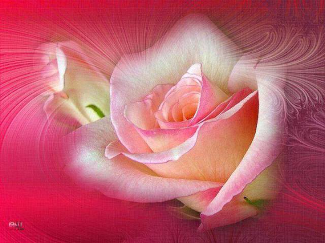 1888689_247488192103314_1037102079_n