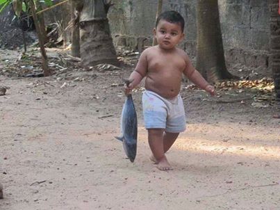 1902042_588583337899612_987803050_n