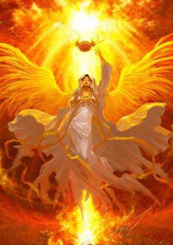 1911877_999643790174108_323201659_n