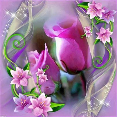 1920309_666722436707786_2050748741_n