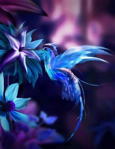 1920314_666718510041512_1377729436_n