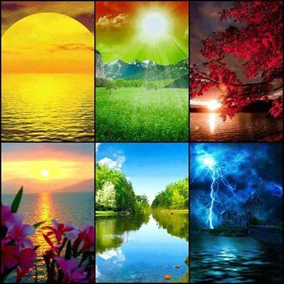 1925288_260156804162410_1688286414_n