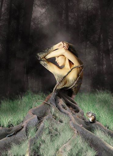 1959944_777486035595855_1227367001_n