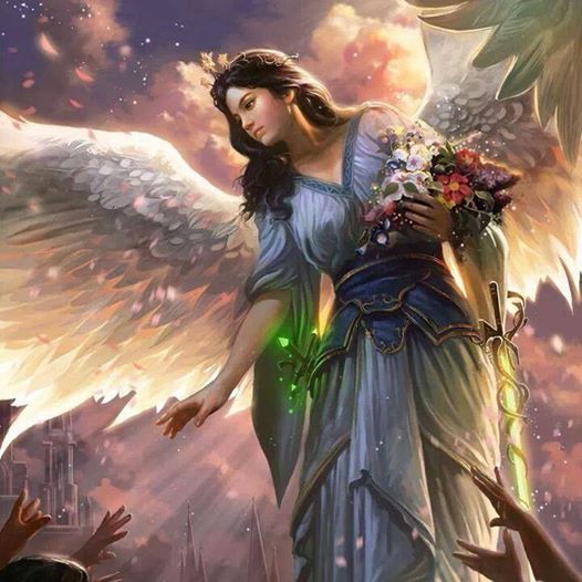 1962792_1401732226760806_1930261164_n