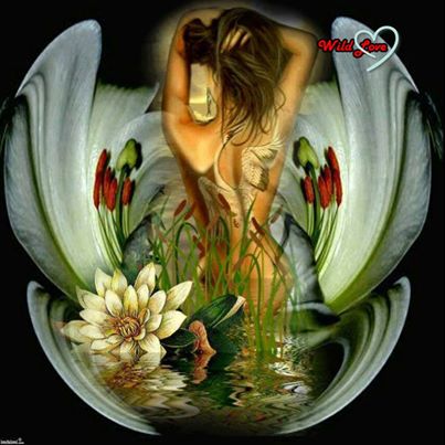 1964970_1471461256402533_1956207067_n