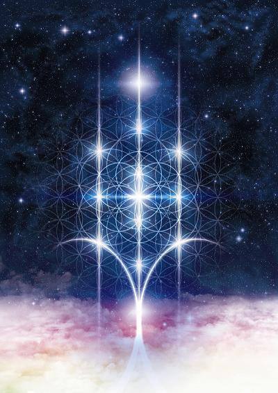 1965018_558048897636389_1121040296_n