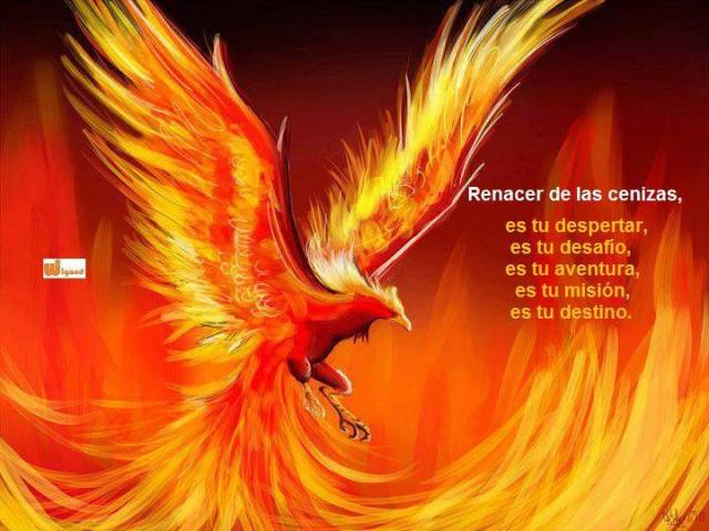 1970481_609142852503652_879997831_n