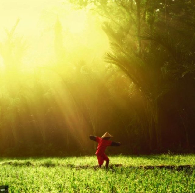 197119_203444239685501_6695358_n