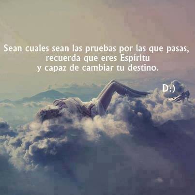 1975240_603026819786006_1459409891_n