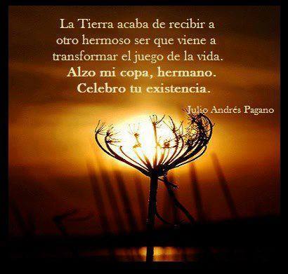 1977022_283542568488800_1731129205_n