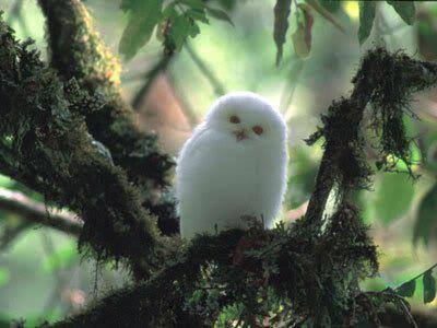 1977158_279608905538408_343977536_n