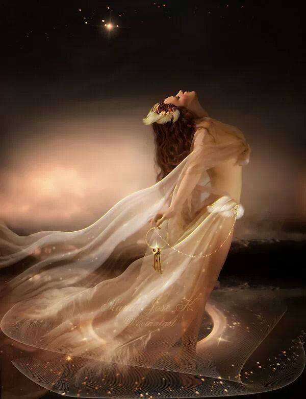 1978821_216018495260103_733404547_n