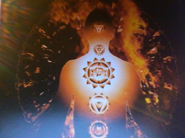 268116_2162509353371_4152553_n