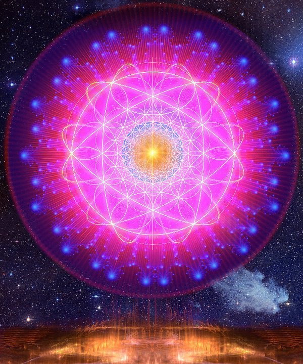 320831_510579848996075_1643276901_n