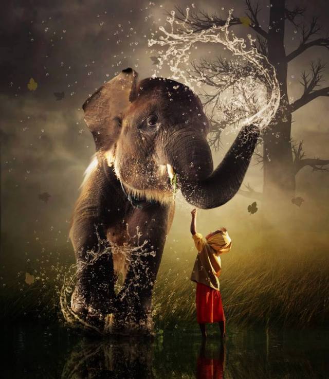 375729_1437687299796797_126976953_n