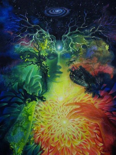 530978_558637544153352_1293156636_n