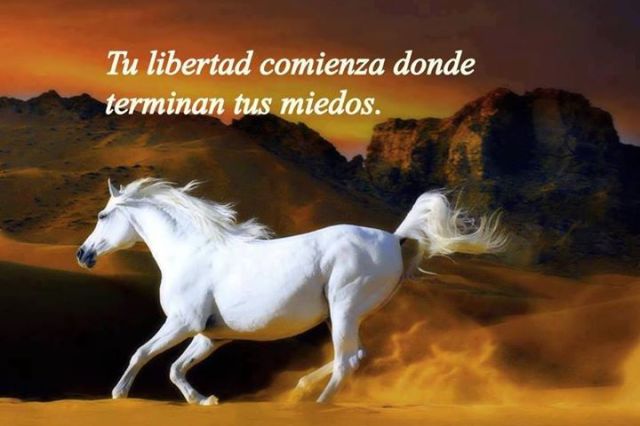 564522_424515941002316_986616805_n