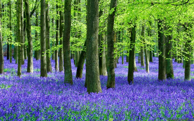 ?????????????????????????