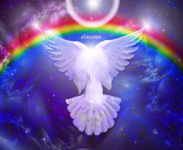 945192_503352009763666_1615826184_n