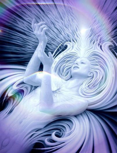 971882_278687792297186_636811209_n