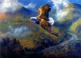 images (26)
