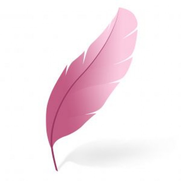 pluma-de-color-aislado_2981696