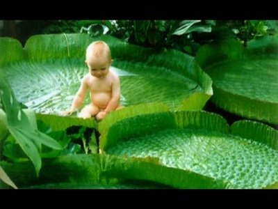 vida_despues_muerte4