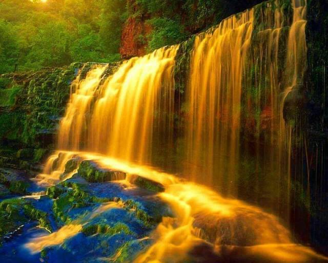 10001512_216234315238521_1311737454_n