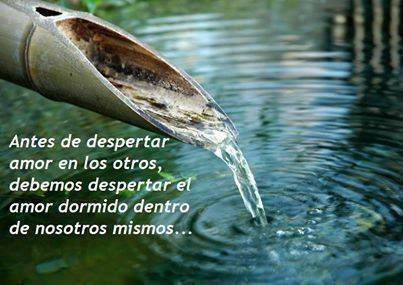 10003491_723574157692660_3253988509296366334_n