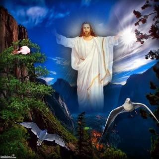 10003535_536259619824195_2069374700_n