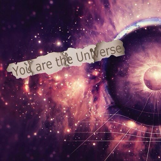 10004074_255576831289020_421096931_n