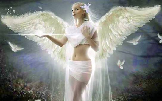 1000419_266854376789540_333599577_n